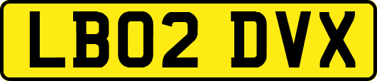 LB02DVX