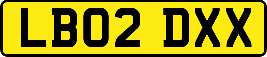 LB02DXX