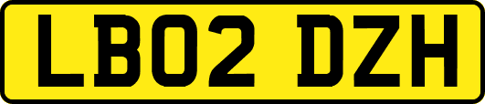 LB02DZH