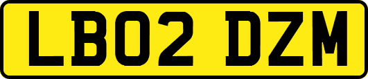 LB02DZM