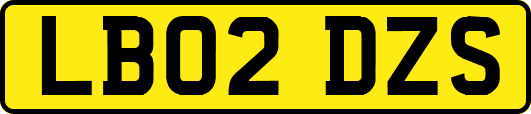 LB02DZS