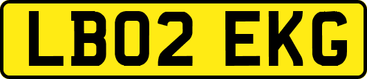 LB02EKG