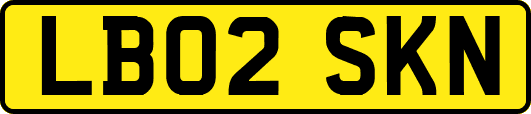 LB02SKN