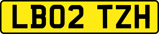 LB02TZH