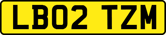 LB02TZM