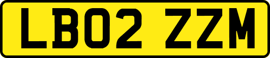 LB02ZZM