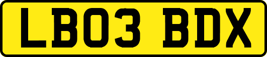 LB03BDX