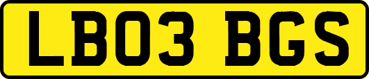 LB03BGS