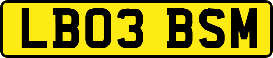 LB03BSM
