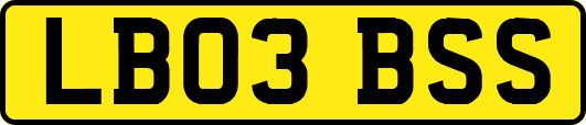 LB03BSS