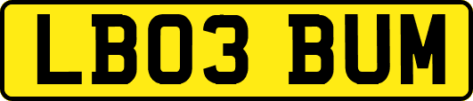 LB03BUM