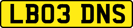 LB03DNS