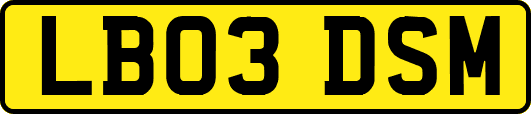 LB03DSM