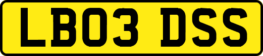 LB03DSS