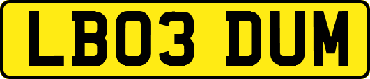LB03DUM