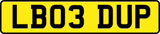 LB03DUP