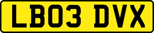 LB03DVX
