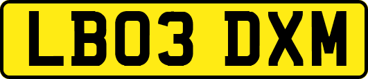 LB03DXM