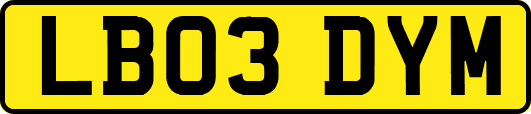 LB03DYM