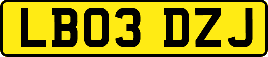 LB03DZJ