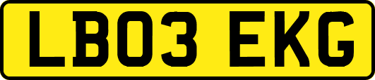 LB03EKG