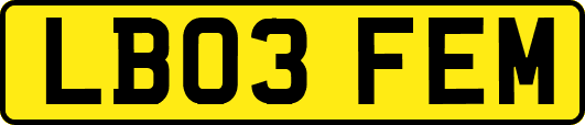 LB03FEM