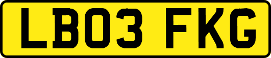 LB03FKG