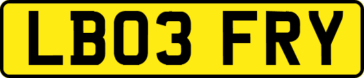 LB03FRY