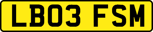LB03FSM