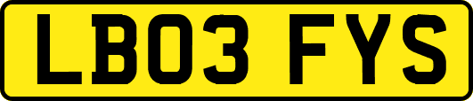 LB03FYS