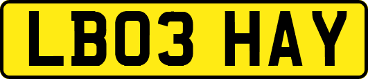 LB03HAY