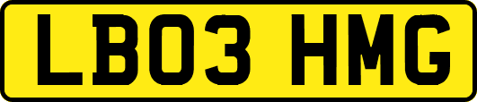 LB03HMG