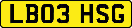 LB03HSG