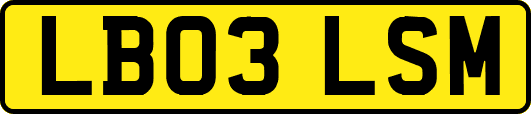 LB03LSM