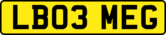 LB03MEG