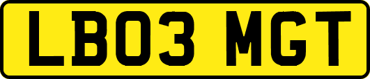 LB03MGT