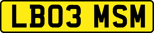 LB03MSM