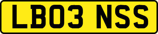 LB03NSS