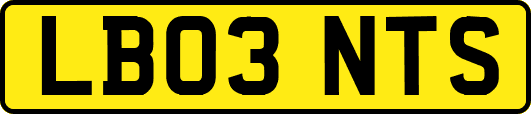 LB03NTS