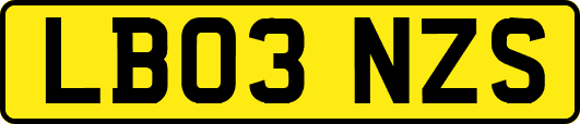 LB03NZS