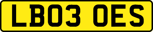 LB03OES