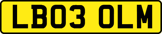LB03OLM