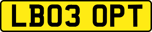 LB03OPT