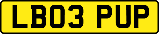 LB03PUP