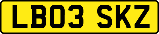 LB03SKZ