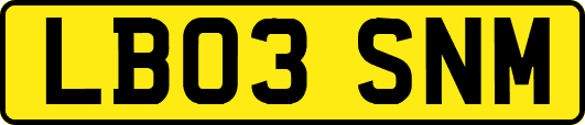 LB03SNM