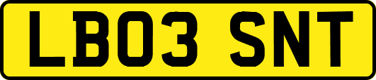 LB03SNT
