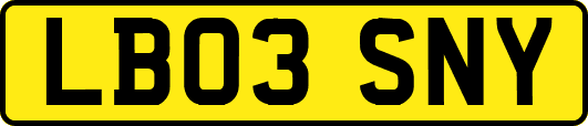 LB03SNY
