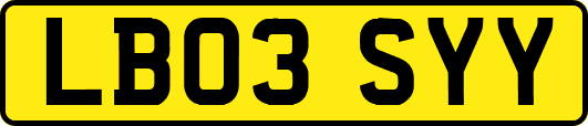 LB03SYY