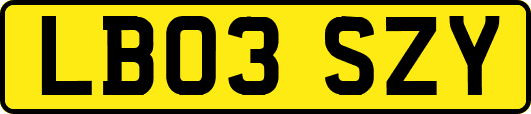 LB03SZY